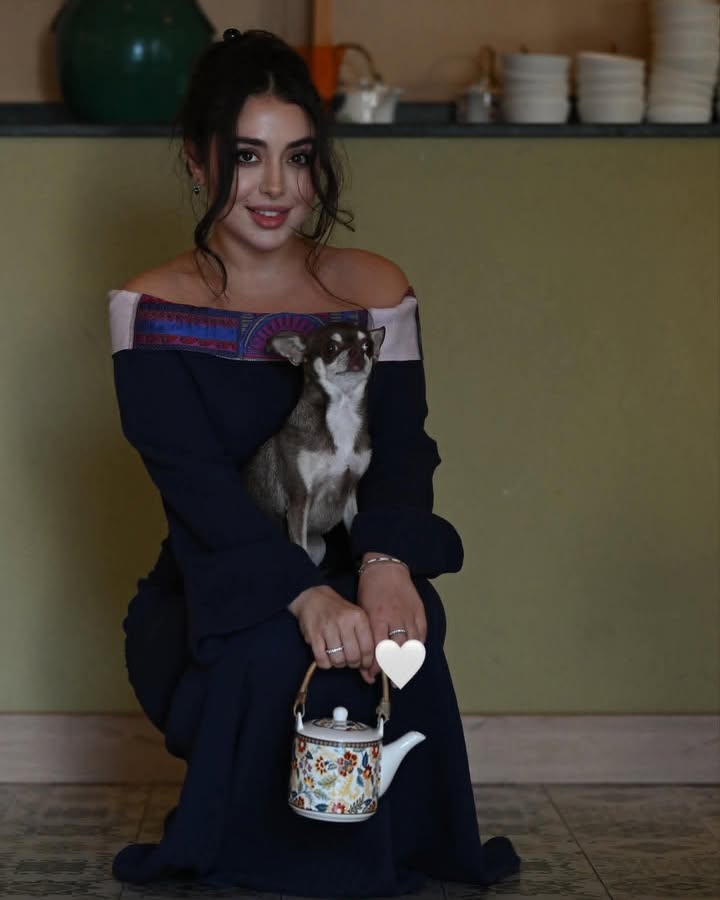 Social Time سوشال تايم