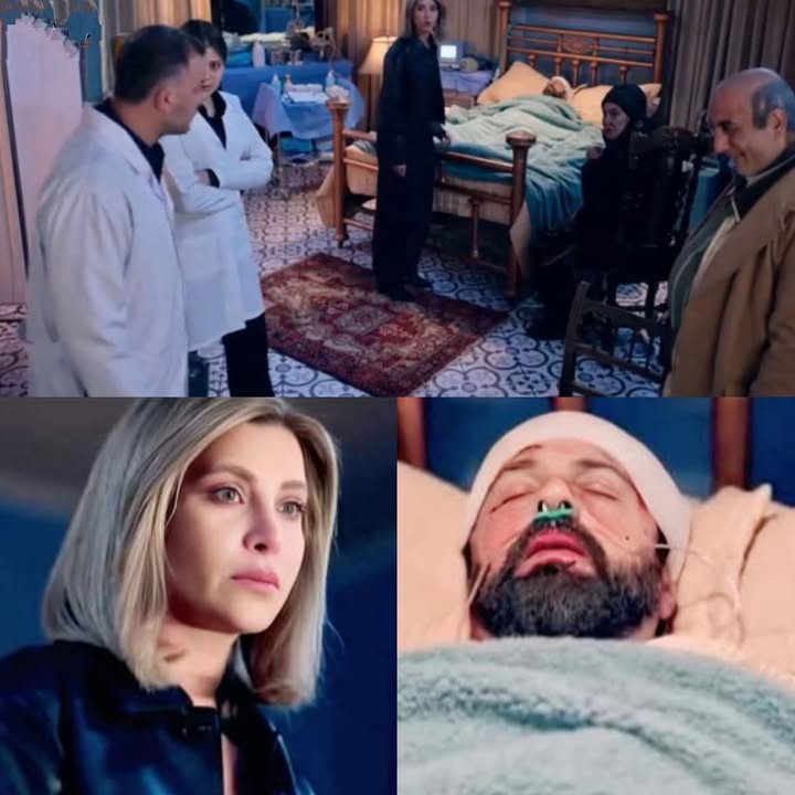 Social Time سوشال تايم